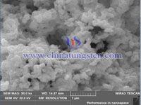 cesium tungsten bronze SEM