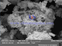 cesium tungsten bronze SEM